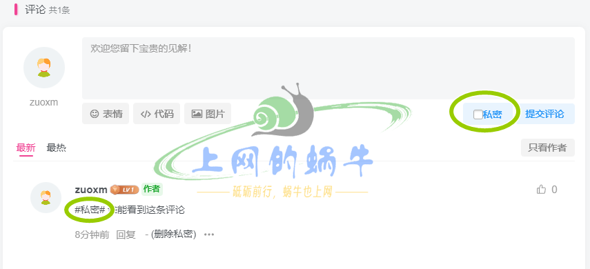 子比主题文章评论添加设为私密功能-上网的蜗牛