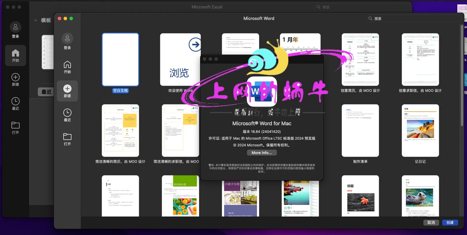 【Mac软件】Microsoft Office  2024 Preview for Mac LTSC激活版-上网的蜗牛