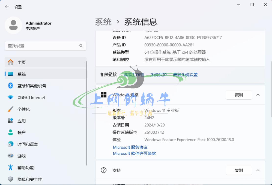 2024年10月自封装最新版win11 24H2专业版-上网的蜗牛